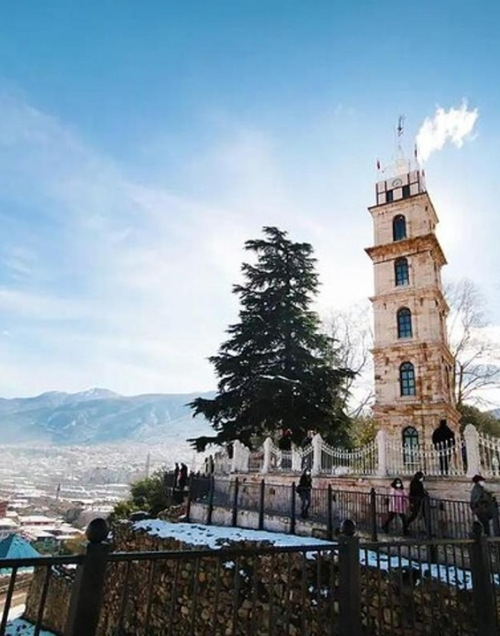 Bursa